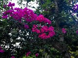 (91) Gole dell'Alcantara.jpg